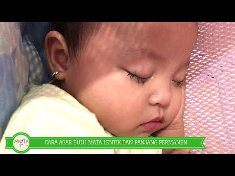 Video: Cara Membuat Kucing Diam: 8 Langkah (dengan Gambar)