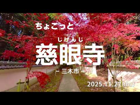 2025.11.28 慈眼寺（三木市）