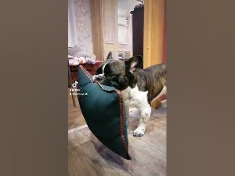ЖОРИК - YouTube