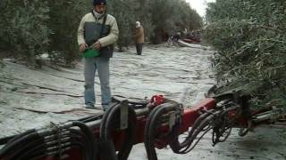 Türki̇yedeki̇ Bahçelere Göre Tasarlanmiş Hasat Si̇stemleri̇