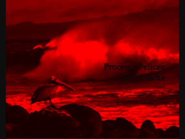 Guarda Process - Pelican ( Oliver Hacke ) su YouTube Guarda Process - Pelican ( Oliver Hacke ) su YouTube