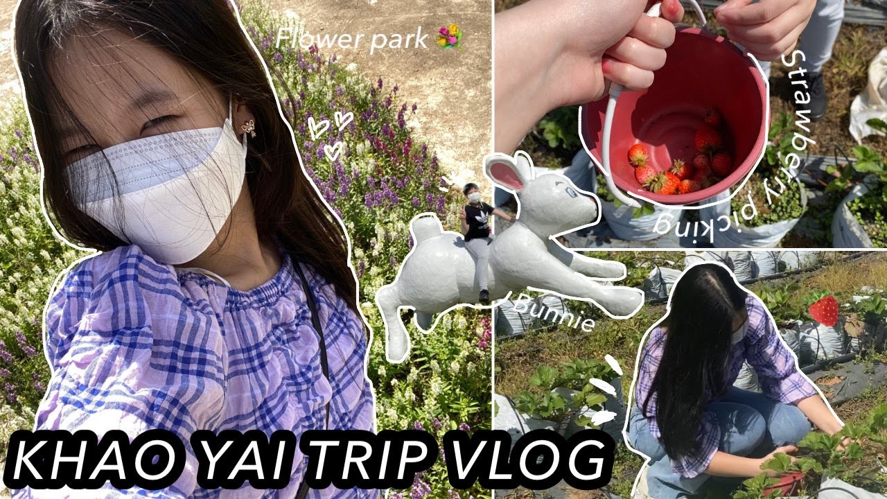 KHAO YAI TRIP VLOG (strawberry picking,flower park,food,jujube picking