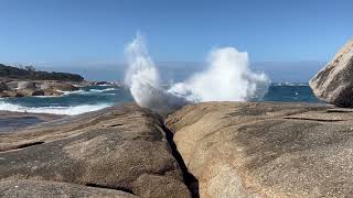 Bicheno Blowhole Tasmanië