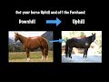 How to get your horse in uphill balance and off the forehand!