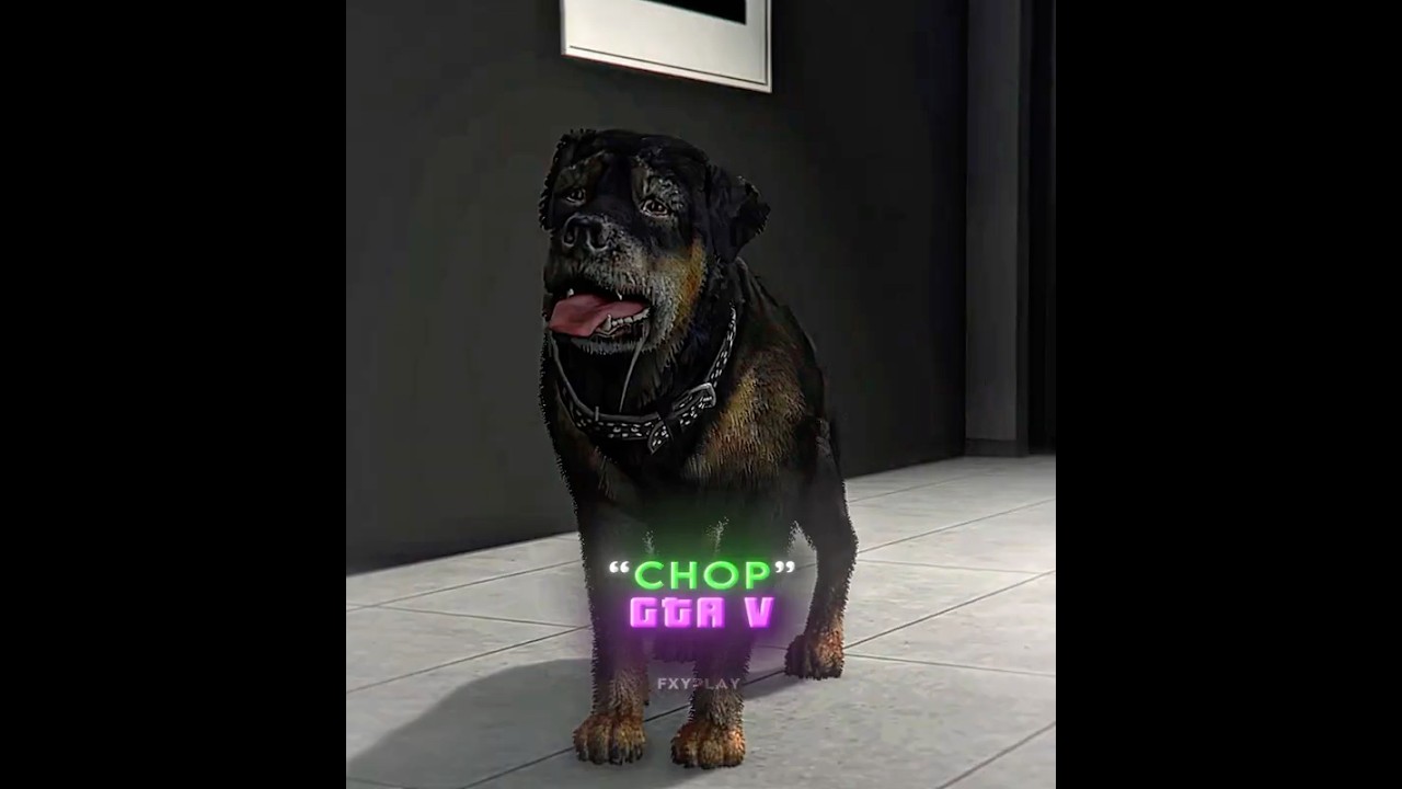 Aura of the Letter C in Games 💀 