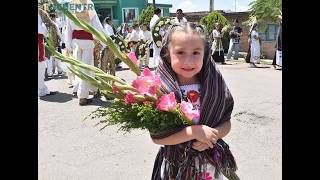 Ofrenda flora a la Señora de Santa Ana 2026