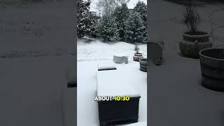 Snowfall Update: Brentwood TN ❄️