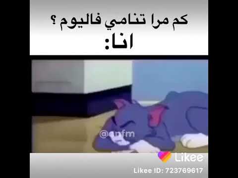 نوم أهل الكهف مش هيك توم وجيري