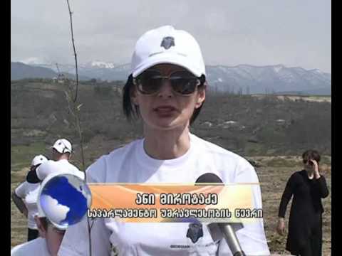 იმერვიზია 2014 - ნერგები