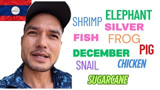 Download Lagu 🇱🇦 Common Lao names that people from other cultures may find it funny MP3 Download Lagu 🇱🇦 Common Lao names that people from other cultures may find it funny MP3
