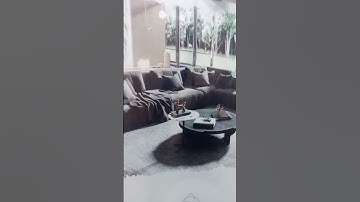 Get Ready to Impress with Click2Print High-Quality flex with standee Printing in Lahore