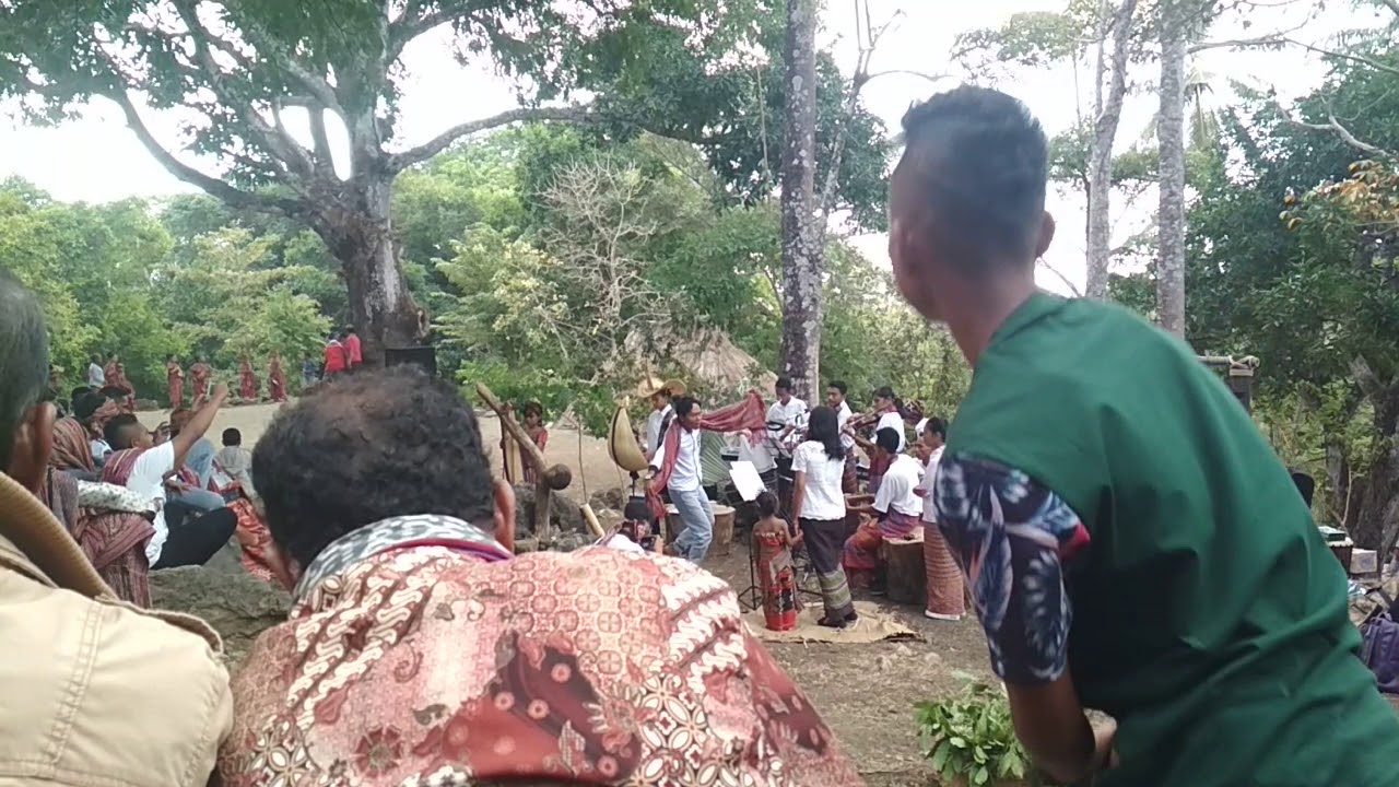 77 Gambar Rumah Adat Orang Timor Gratis