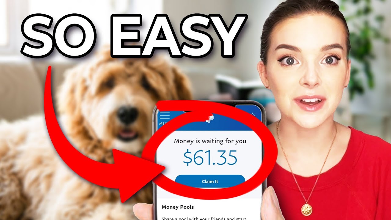 Pet Sitting Apps For Under 18