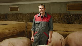 Peter Anderhub aus Muri AG und die Haltung von Schweinen