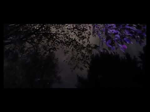 (Reupload) Fleetwire - Anaesthesia for Shut-Ins