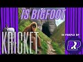 Kricket is Bigfoot #purplerp #gtavrp #bigfoot