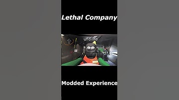 Sus Lethal Company? #gaming #funny #games #lethalcompany #mods #newzealand
