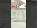 kese betha h🤣#viralvideo #viral #shortvideo #shorts #trending #funny #monkey #youtubeshorts #like