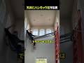 天井にハンモックを作る男