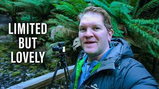 I Woke Up Before The World to Photograph Tasmania's Most Famous Waterfall