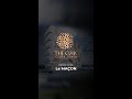 Oak Clock Tower - La Macon's Marvel