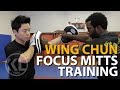 Francis Fong Wing Chun | Focus Mitts Training