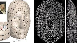 Shape-shifting structures take the form of a face, antenna