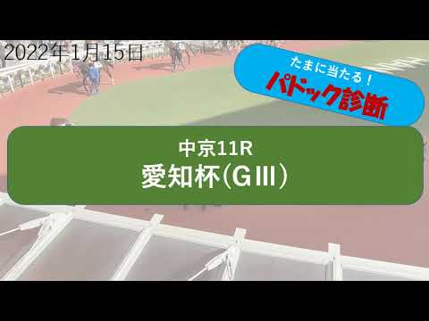【予想競馬】たまに当たるパドック診断。2022年1月15日中京11Rパドック