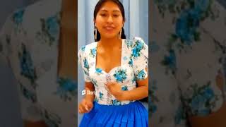 Melodias Andinas Bolivianas