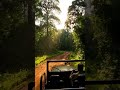 ​പ്രകൃതിയുടെ മന്ത്രജാലം: അട്ടപ്പാടി വന്യത (Nature's Magic: Attappadi Wild)