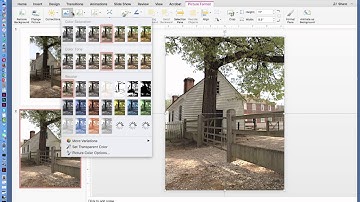 How to Create A Gray Scale Coloring Page from Full Color Photo in PowerPoint