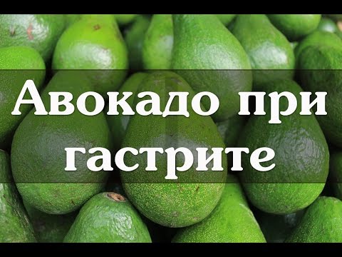 Авокадо при гастрите