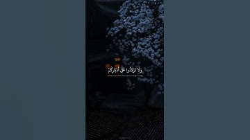 حالات واتس قران كريم | محمد صديق المنشاوي | يا قوم ادخلوا الارض المقدسة
