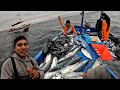 Mira la increble pesca del pez bonito en altamar