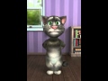 Talkingtom2 dd