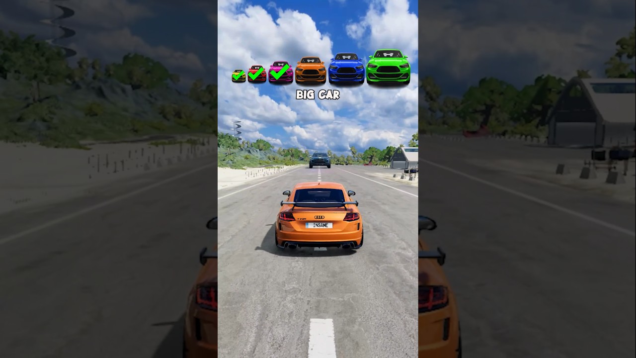 Police vs Big & Small Cars