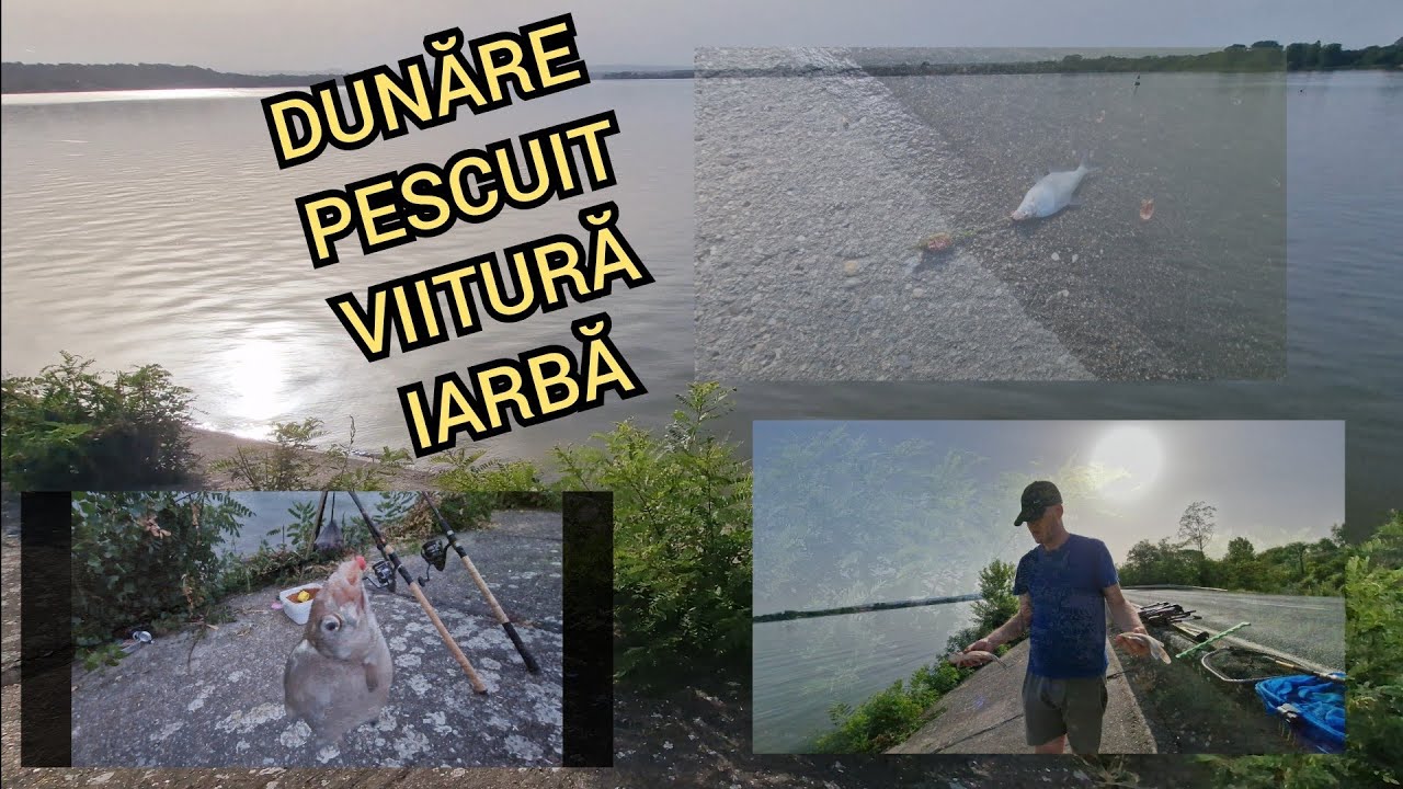 Pescuit PE DUNARE la METHOD , iarba , viitura, apa murdara si mare , MEHEDINTI . feeder