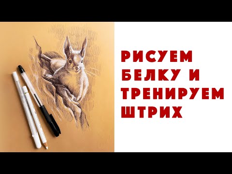 Рисуем белку и тренируем штрих // Урок рисования