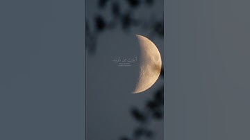 عمر بن ضياء الدين - سورة لقمان | هذا خلق الله #قران #اكسبلور #تلاوة_خاشعة #رم#عيد #رمضان #ليلة_القدر