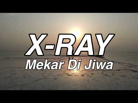 Chord x jiwa ray di mekar Chantek