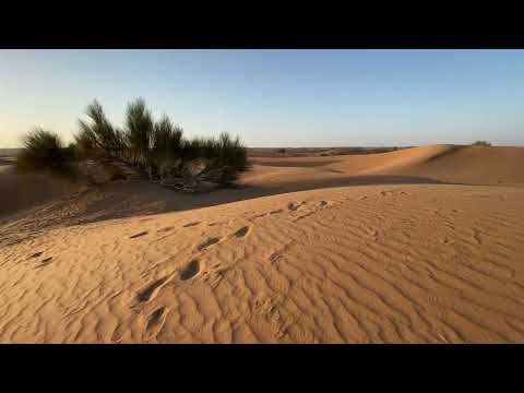 #Dubai #Dubaidesertsafari Dubai Desert Conservation Reserve | sunrise 🌄 walking in dunes.