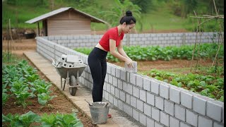 Download Lagu Full _Video Young Girl Building Cement Wall Around her Small House MP3