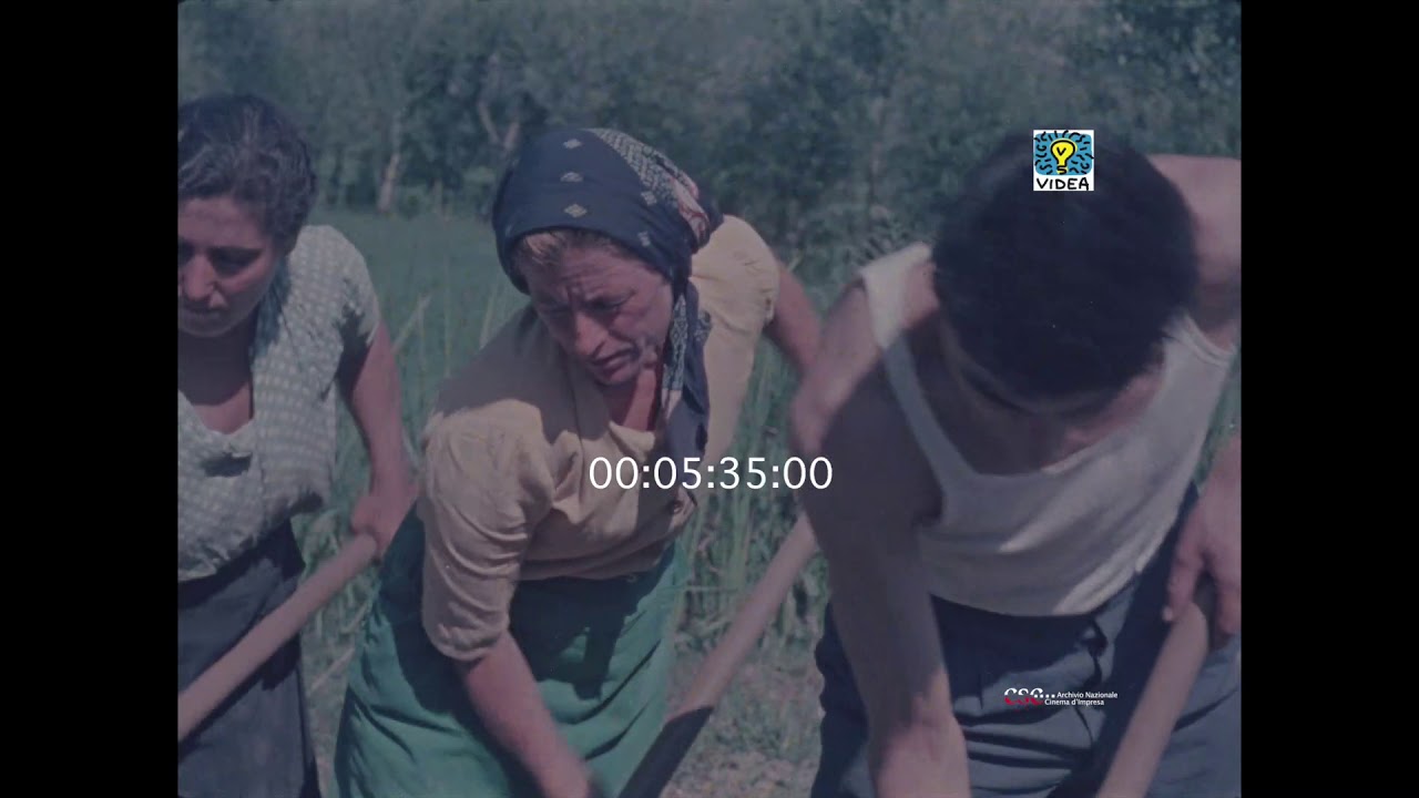 Colori di Ciociaria (Ignazio V. Senese, 1954)