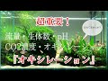 エアレーションについて思うこと　水草レイアウト水槽 3年目アクアリウム歴1001日