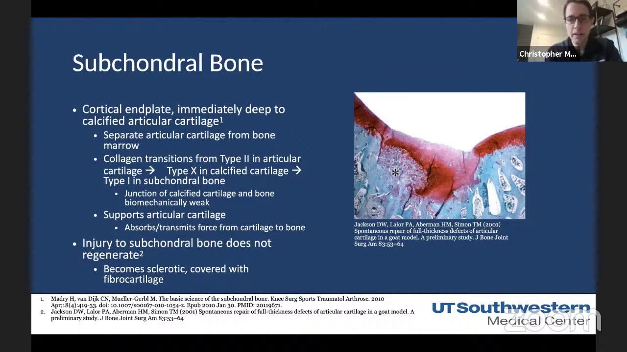 Cartilage repair for the Knee Joint YouTube