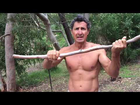 Calisthenics & pull ups on trees - Total body workout program-Anywhere anytime!