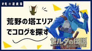 #12【ゼルダの伝説・breath of wild】荒野エリアでコログを探す！【竜の遊技場】