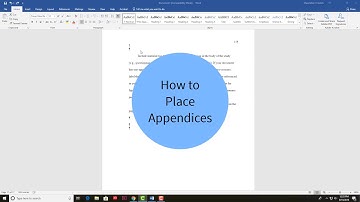 Canvas Appendices Guide