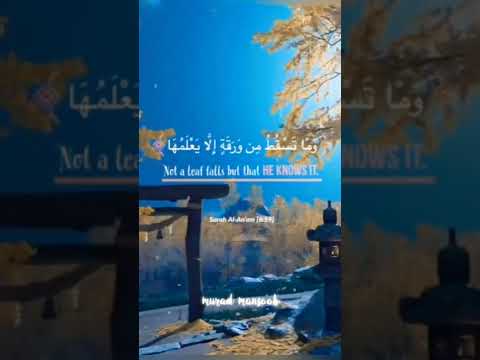 وما تسقط من ورقه الا يعلمها