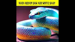 Nabi SAW aur White Snake ? shorts